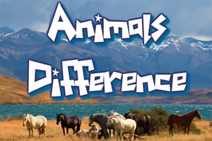 animal-differences