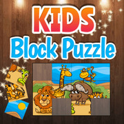 kids-block-puzzle